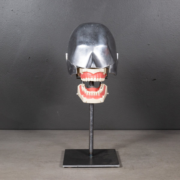 Mid-century Dental Phantom Head Model on Custom Stand c.1960s