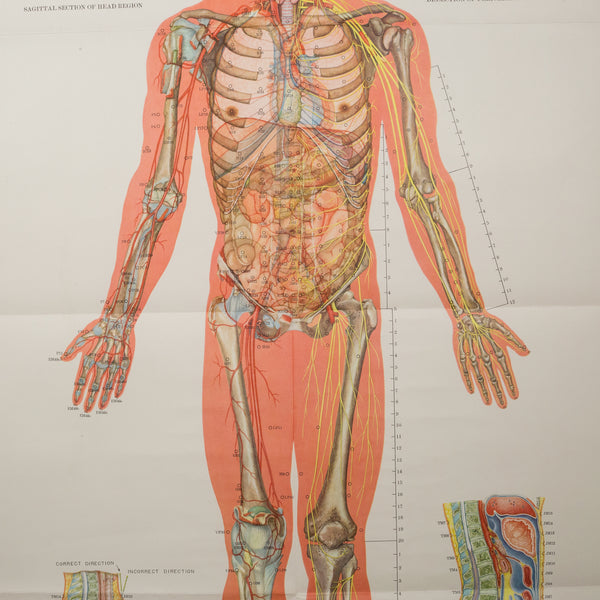 Vintage Chinese Acupuncture Posters c.1976